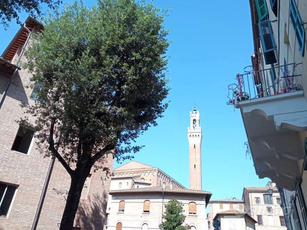 A pochi passi da Piazza del Campo, zona Torre