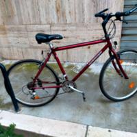 Bici per Cicloturismo. Portata 120kg