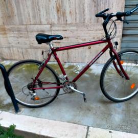 Bici per Cicloturismo. Portata 120kg