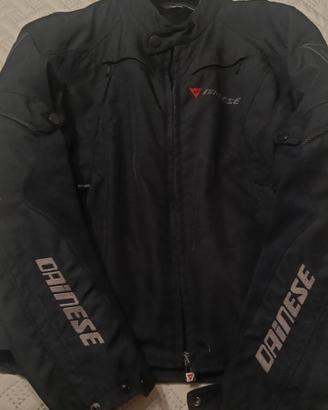 giubbotto DAINESE 