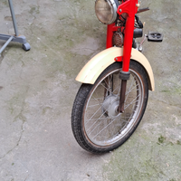 Moto grillo