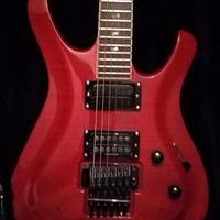 Chitarra ELettrica Larrivée RS2  CM Custom 