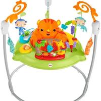 Altalena e Palestrina neonato Fischer-Price