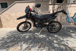 beta rr 50 2019