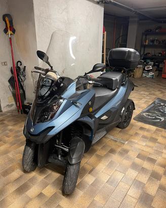 quadro qooder