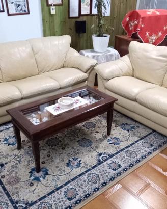 Divani in eco pelle 3 posti e 2 posti 
