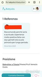 Babysitter aiuto compiti domestico animali