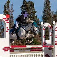 Pony da salto ostacoli