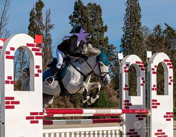 Pony da salto ostacoli