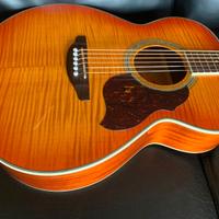 Chitarra crafter fg 150 triplo zero , paletta ripa