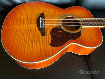 Chitarra crafter fg 150 triplo zero , paletta ripa