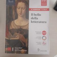 il bello della letteratura 