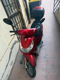 Motorino 50 Peugeot Looxor