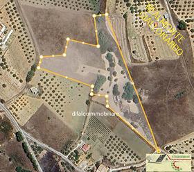 Giallonardo Rustico mq 50 corte terreno 1 ettaro