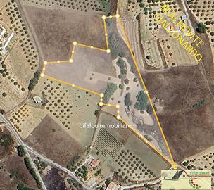 Giallonardo Rustico mq 50 corte terreno 1 ettaro