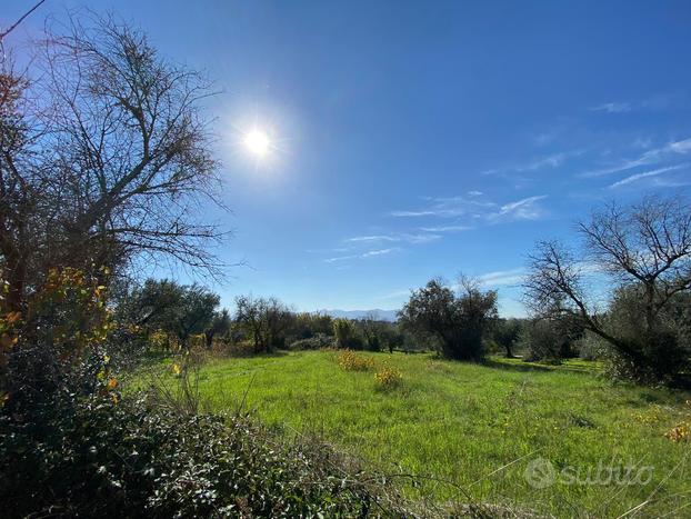 Terreno agricolo con rimessa attrezzi