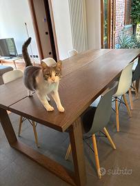 Tavolo Ikea 220x100x74 cm in rovere + 6 Sedie