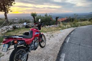 Honda NX 650 Dominator RD 08 - 1999