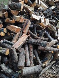 legna secca di bosco