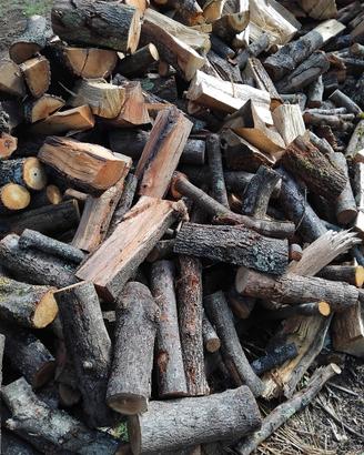 legna secca di bosco