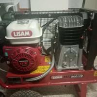 Motocompressore per raccolta olive