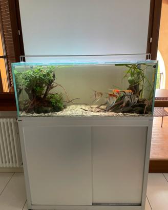 Acquario 240 litri con mobile e sump