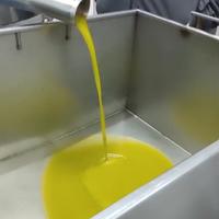olio d' oliva di nostra produzione 