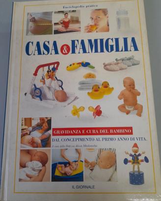 Libro "Gravidanza e cura del bambino" - usato