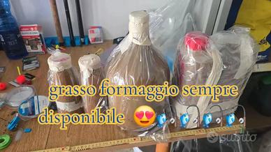 pastura grasso formaggio 