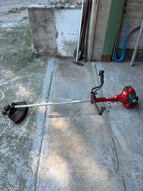 Decespugliatore