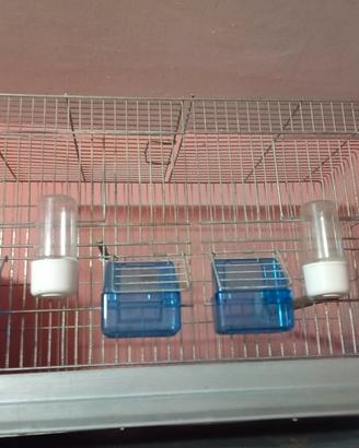 Gabbia da cova da 55