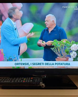 Tv Telefunken 24" no smart NO spedizione 
