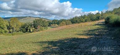 Terreno agricolo in val d'orcia
