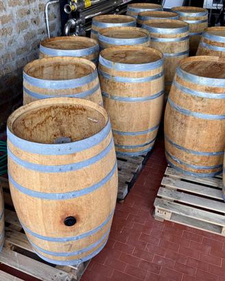Barrique / botte  rovere francese Seguin Moreau