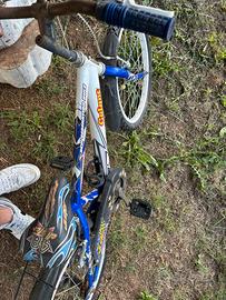 Bicicletta