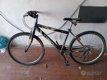 Bicicletta Diadora
