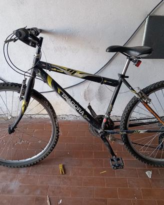 Bicicletta Diadora