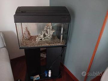 acquario