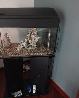 acquario