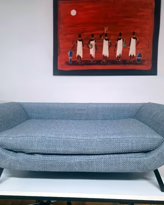 Divanetti, cucce e scalette per cani 