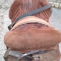  bardella  bartolozzi