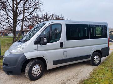 Fiat Ducato Panorama 2.3 MJT 120cv 9 posti