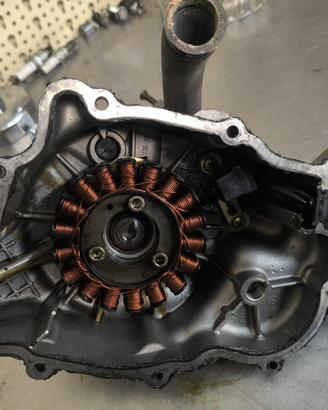 Carter alternatore completo di pompa acqua