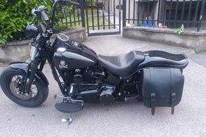 softail cross Bones 2009 1584