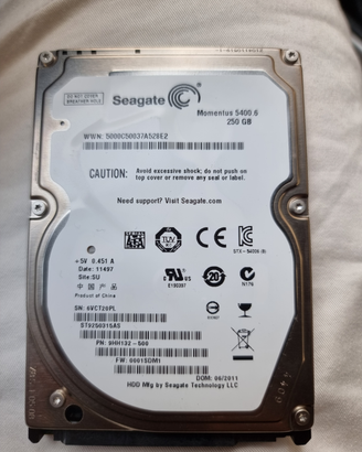 Hard disk 250 gb