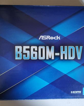 Scheda madre ASROCK B560M-HDV LGA1200 guasta