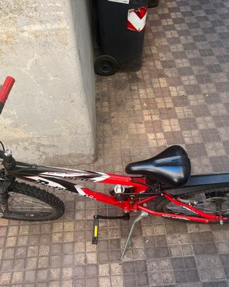 Bicicletta mountain bike ragazzino 24