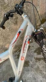 Mountain bike misura 26"