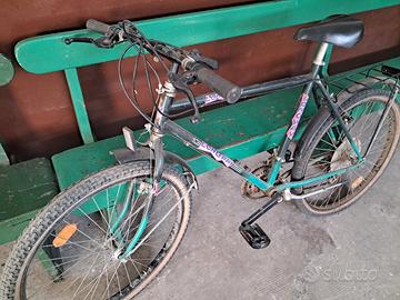 City bike Longway