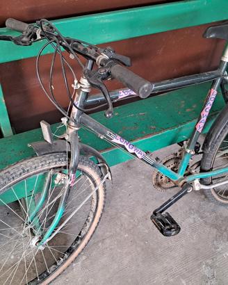 City bike Longway